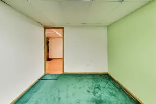 1111 Samstag Ct, Naperville, IL 60563 - Photo 47