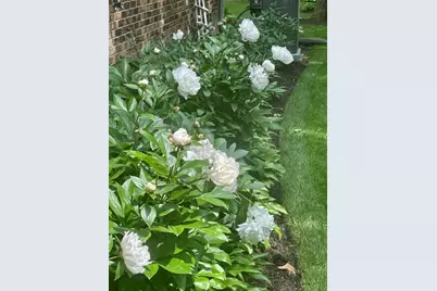 11 Wellington Court, Lincolnshire, IL 60069 - Photo 45