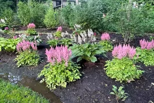 11 Wellington Ct, Lincolnshire, IL 60069 - Photo 39