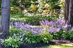 11 Wellington Ct, Lincolnshire, IL 60069 - Photo 49