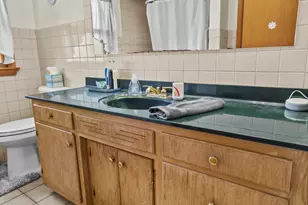 403 Orchard Ln, Beecher, IL 60401 - Photo 31
