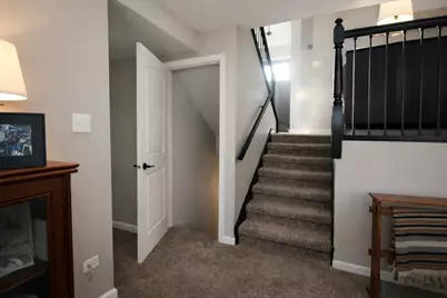 26049 S White Oak Trail, Channahon, IL 60410 - Photo 19