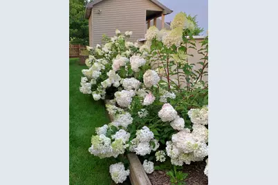 26049 S White Oak Trail, Channahon, IL 60410 - Photo 41