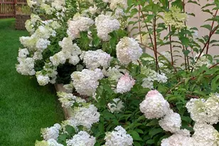 26049 S White Oak Trail, Channahon, IL 60410 - Photo 41