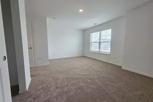 458 Hathaway Ln, Oswego, IL 60543 - Photo 19