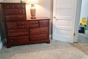 414 Pontiac St, Tonica, IL 61370 - Photo 13