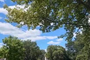 4990 Rochester Dr, Hoffman Estates, IL 60010 - Photo 31