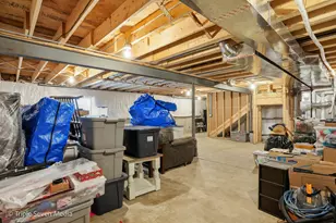 16256 W Pinto Ln, Manhattan, IL 60442 - Photo 41