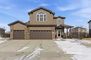 16256 W Pinto Ln, Manhattan, IL 60442 - Photo 3