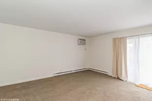 45 Nassau Colony, Fox Lake, IL 60020 - Photo 9