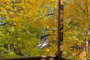 2057 N Kedzie Ave, Chicago, IL 60647 - Photo 39