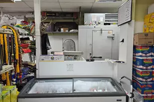 3102 W Devon Ave, Chicago, IL 60659 - Photo 11