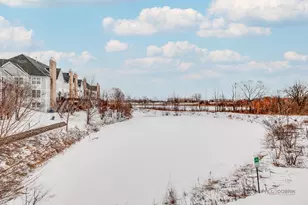 20451 N Joshua Ct, Deer Park, IL 60010 - Photo 33