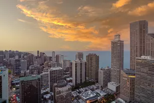 11 E Walton St, Chicago, IL 60611 - Photo 43