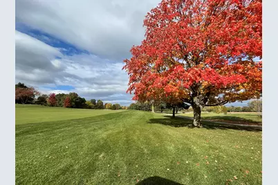 23984 N Red Oak Court, Kildeer, IL 60047 - Photo 3
