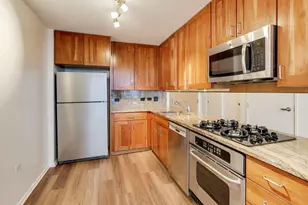 9725 Woods Dr, Skokie, IL 60077 - Photo 7