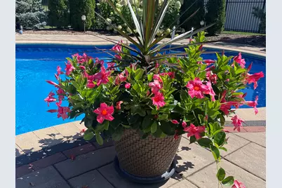 17133 Kerry Avenue, Orland Park, IL 60467 - Photo 47