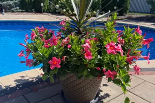 17133 Kerry Ave, Orland Park, IL 60467 - Photo 47