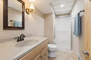 17133 Kerry Ave, Orland Park, IL 60467 - Photo 37