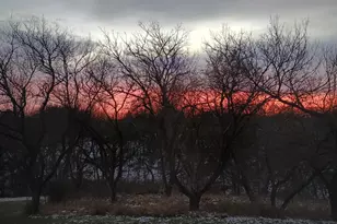 26-64 Blackwood Ct, Lanark, IL 61046 - Photo 9