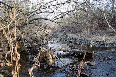 2920 Vine Street, Danville, IL 61834 - Photo 7