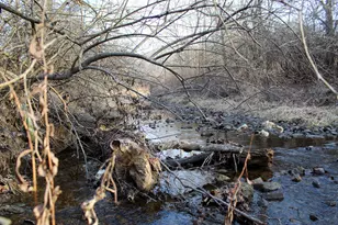 2920 Vine St, Danville, IL 61834 - Photo 7