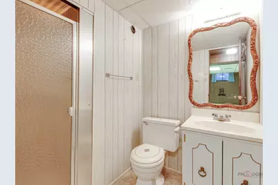 210 S Wa Pella Avenue, Mount Prospect, IL 60056 - Photo 23