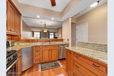 4228 W Harrington Lane, Chicago, IL 60646 - Photo 11