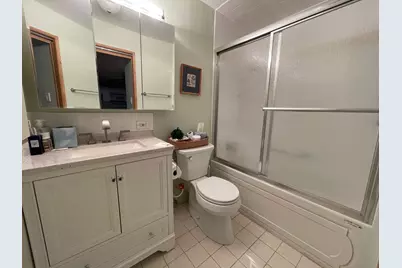 230 E Ontario Street #402, Chicago, IL 60611 - Photo 11