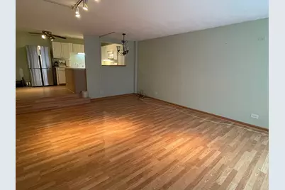 230 E Ontario Street #402, Chicago, IL 60611 - Photo 3