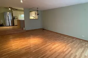 230 E Ontario St, Chicago, IL 60611 - Photo 3