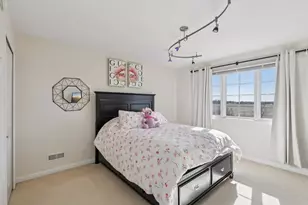 14738 S Aster Ln, Homer Glen, IL 60491 - Photo 29