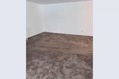 2439 Brunswick Circle #C, Woodridge, IL 60517 - Photo 5