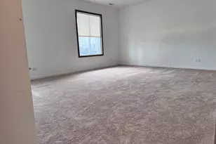 2439 Brunswick Cir, Woodridge, IL 60517 - Photo 11