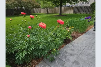 1709 Belcourt, Elgin, IL 60120 - Photo 31