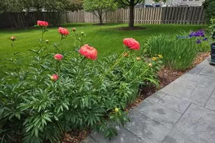 1709 Belcourt, Elgin, IL 60120 - Photo 31