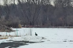 6858 Safford Rd, Rockford, IL 61101 - Photo 29