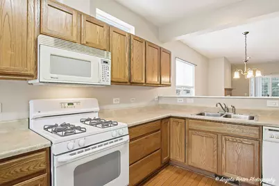 54 Rocking Horse Lane, Grayslake, IL 60030 - Photo 13