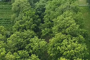 3S241 Williams Rd, Warrenville, IL 60555 - Photo 57