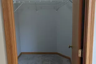 28764 W Pond View Dr, Lakemoor, IL 60051 - Photo 19