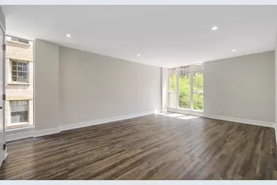 227 E Walton Place #8E, Chicago, IL 60611 - Photo 7