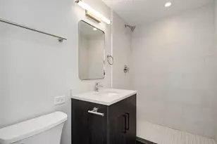 227 E Walton Pl, Chicago, IL 60611 - Photo 9