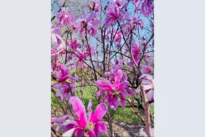 635 Signal Hill Road, North Barrington, IL 60010 - Photo 63