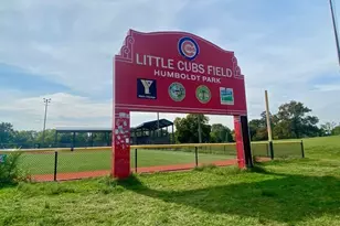 3143 W Augusta Blvd, Chicago, IL 60622 - Photo 39