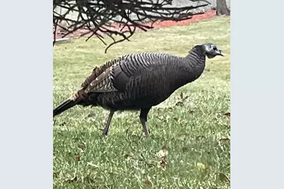 17140 Central Avenue, Tinley Park, IL 60477 - Photo 35