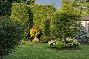 857 S Euclid Ave, Elmhurst, IL 60126 - Photo 35