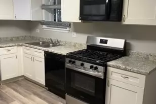 4263 W 81st St, Chicago, IL 60652 - Photo 3