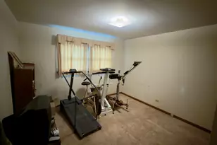 704 Tana Ln, Joliet, IL 60435 - Photo 13