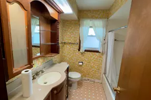 704 Tana Ln, Joliet, IL 60435 - Photo 15