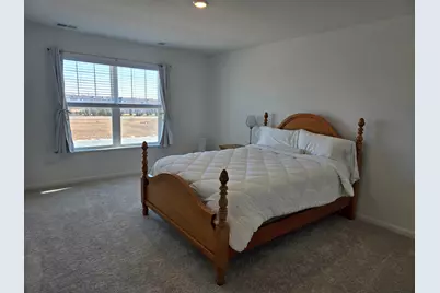 25631 W Wakefield Drive, Plainfield, IL 60544 - Photo 17